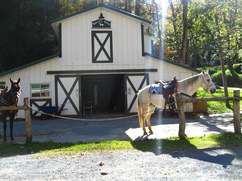 Valle Crucis Farm Exteriér fotografie